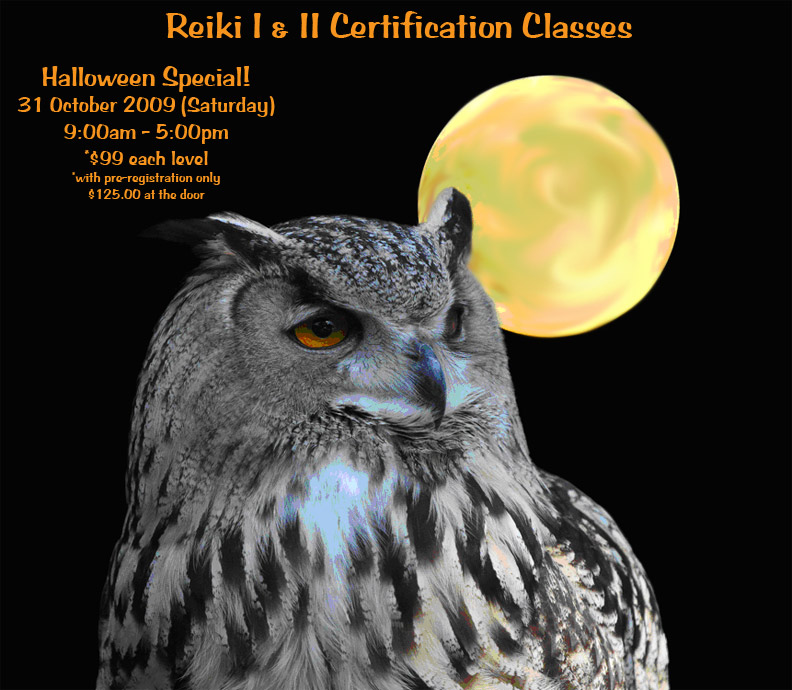 Reiki Class